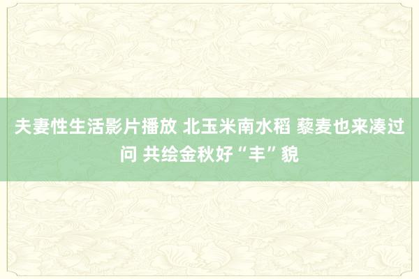 夫妻性生活影片播放 北玉米南水稻 藜麦也来凑过问 共绘金秋好“丰”貌