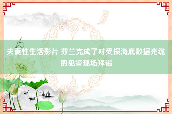 夫妻性生活影片 芬兰完成了对受损海底数据光缆的犯警现场拜谒