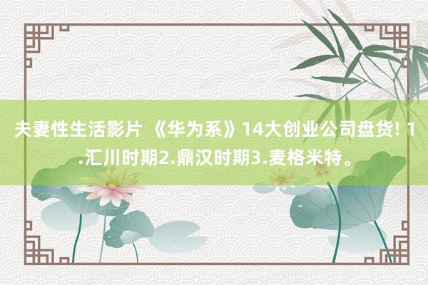 夫妻性生活影片 《华为系》14大创业公司盘货! 1.汇川时期2.鼎汉时期3.麦格米特。