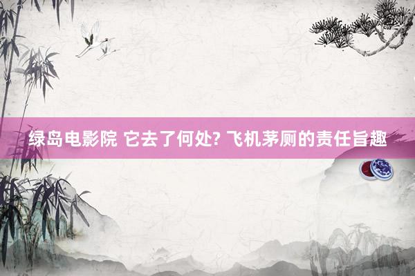 绿岛电影院 它去了何处? 飞机茅厕的责任旨趣